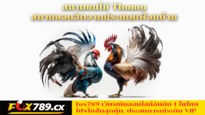 สนามชนไก่-Thomo-สนามยอดฮิตจากประเทศเพื่อนบ้าน